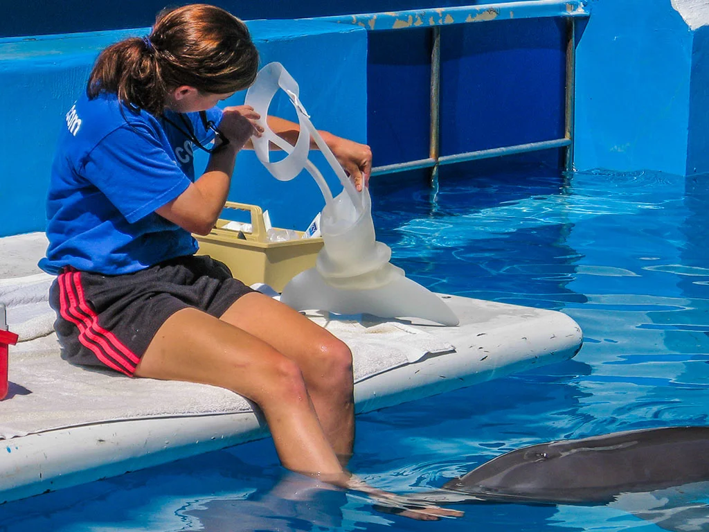 Staff shows prosthetic tail