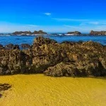 Half Moon Bay California beach