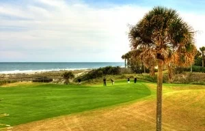 Read more about the article Amelia Island Plantation Golf Resort