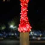 Red glass sculpture by Dale Chihuly