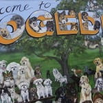 Dog Mural in Dunedin Florida