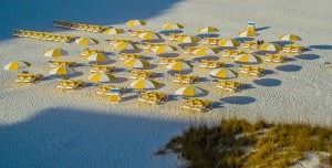 Read more about the article Going Green in Clearwater Beach: Sandpearl Resort