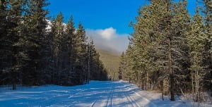 Read more about the article Ski Kananaskis