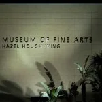 Museum of Fine Arts St.Petersburg