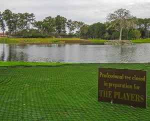 Read more about the article My Birdie at TPC Sawgrass Hole 17