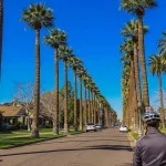 Cycling Phoenix