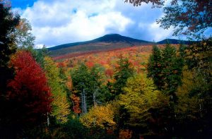 Read more about the article Fall Foliage by Rail