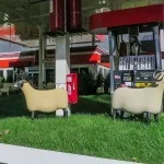 The Sheep Station