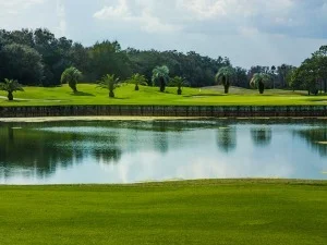Read more about the article Top Florida Golf Schools