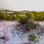 St Andrew State Park Nature Trail