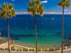 Read more about the article Best of Catalina Island