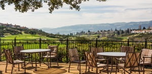 Read more about the article Tri Valley, California