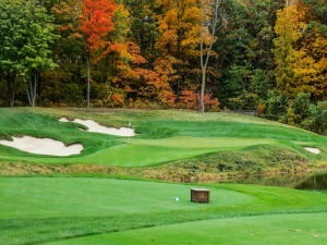Read more about the article Harbor Shores Golf Club, Benton Harbor, Michigan