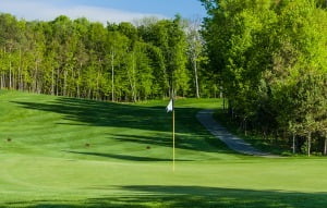 Read more about the article Golf Horseshoe Valley