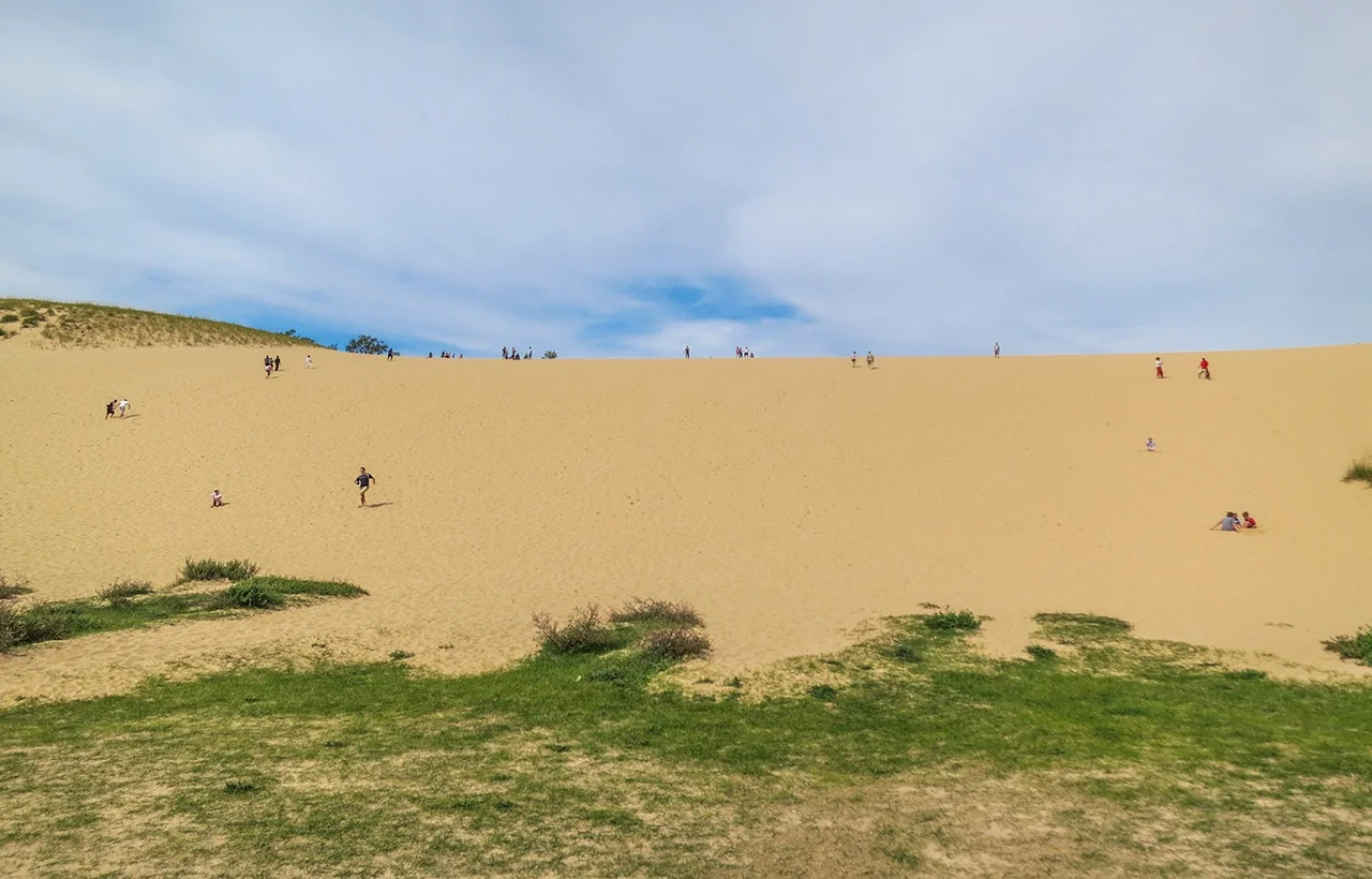 The Dune Climb at Sleeping Bear