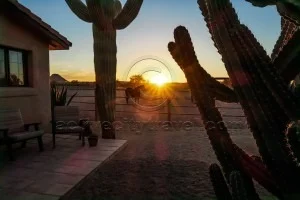 Read more about the article Mild Mild West: A City Slicker at the White Stallion Ranch