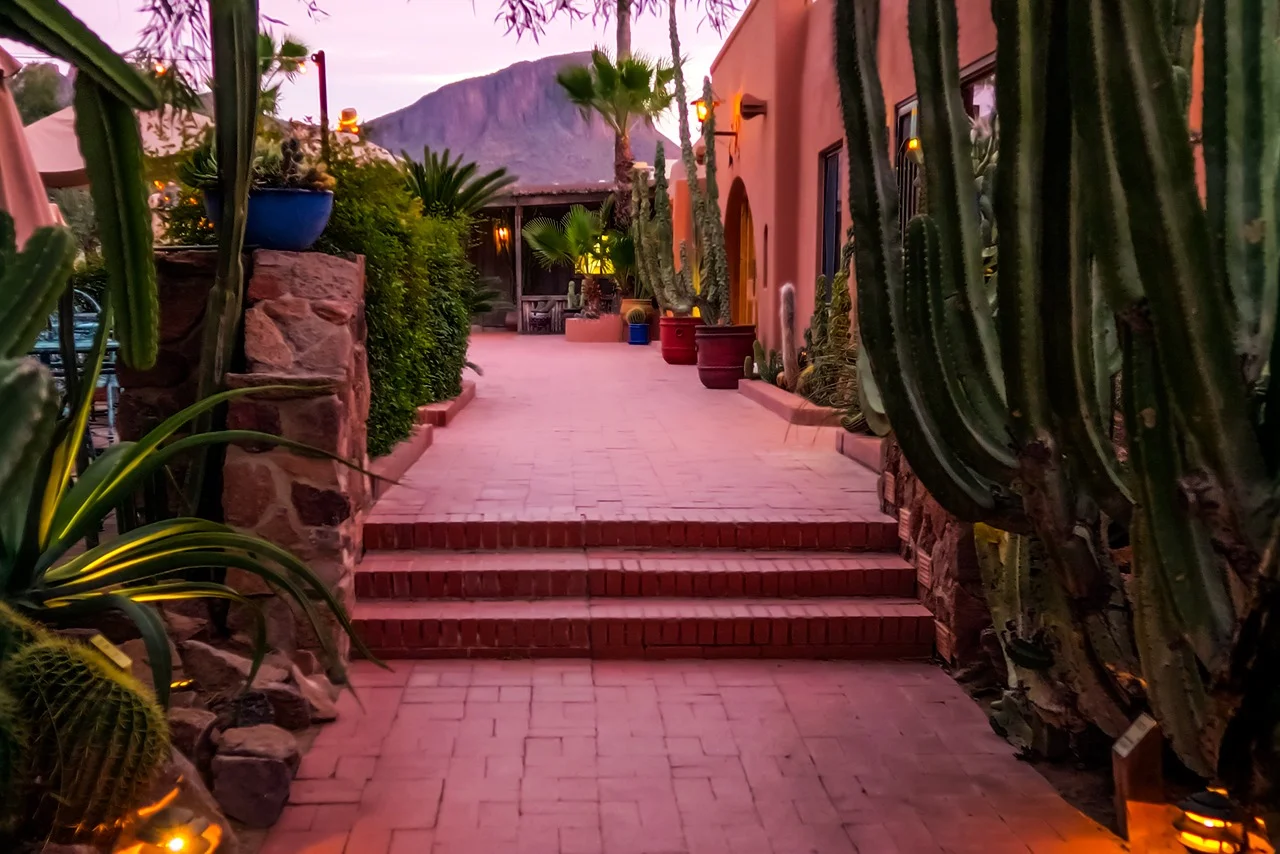 Evening at White Stallion Ranch photo credit: John Cameron