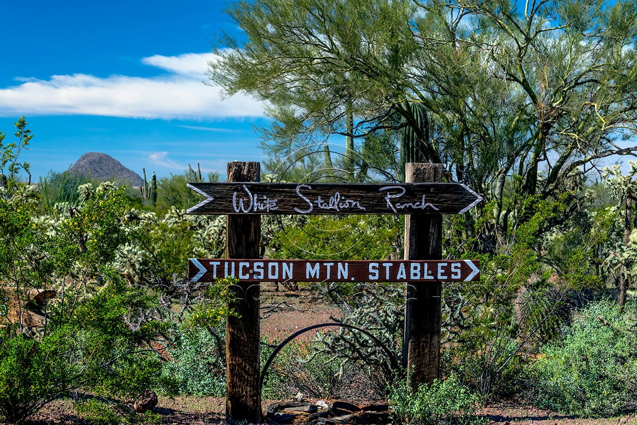 White Stallion Ranch, Tucson Arizona photo credit: John Cameron