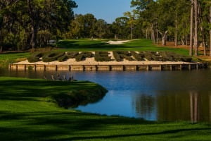 Read more about the article Innisbrook Golf Resort & Spa