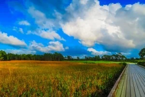 Read more about the article PGA Golf Club at PGA Village Verano