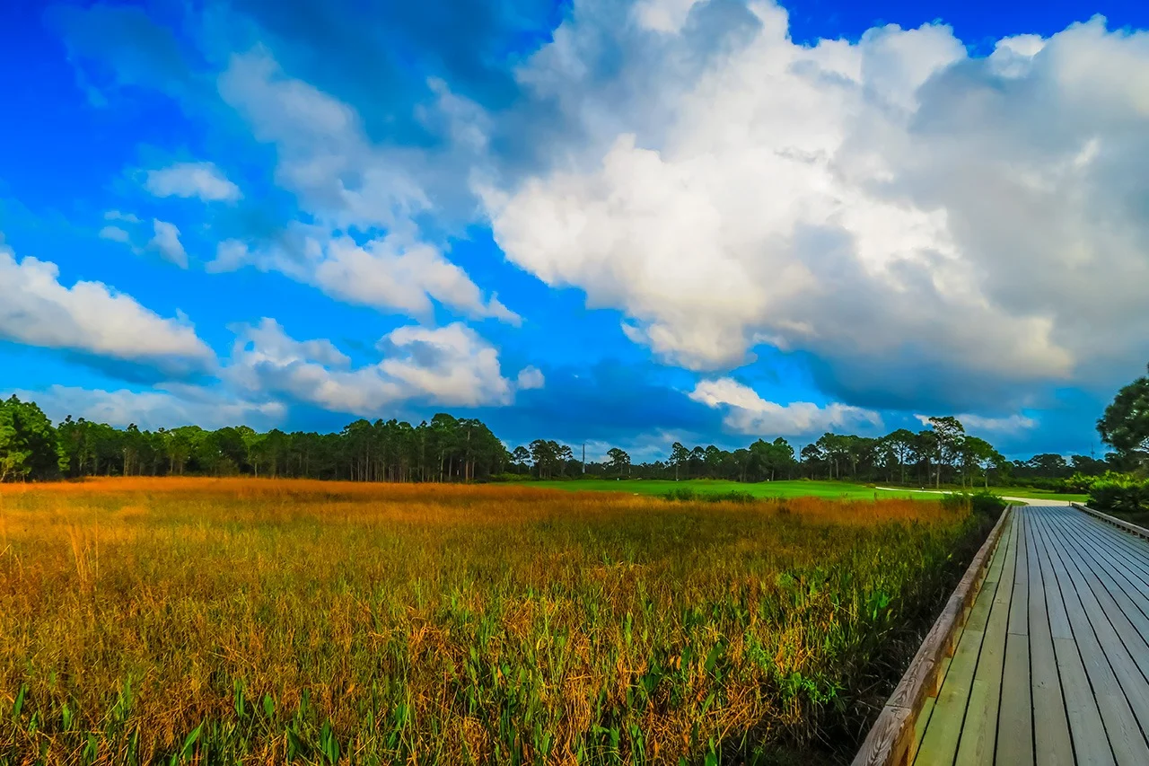 You are currently viewing PGA Golf Club at PGA Village Verano