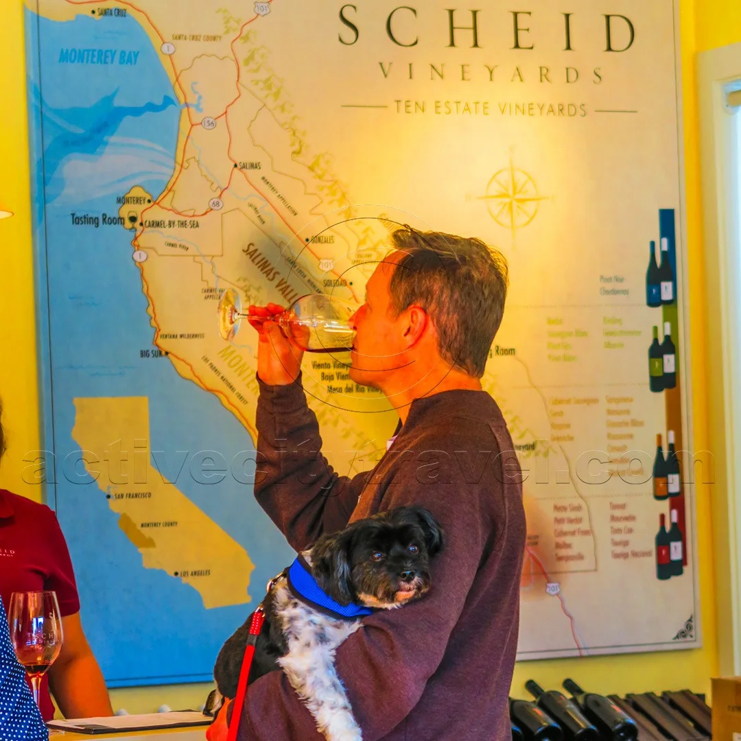 Scheid Vineyards Tasting Room