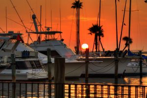 Read more about the article Cycle Florida’s Pinellas Trail