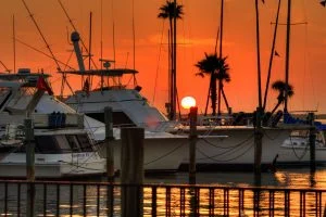 Read more about the article Cycle Florida’s Pinellas Trail