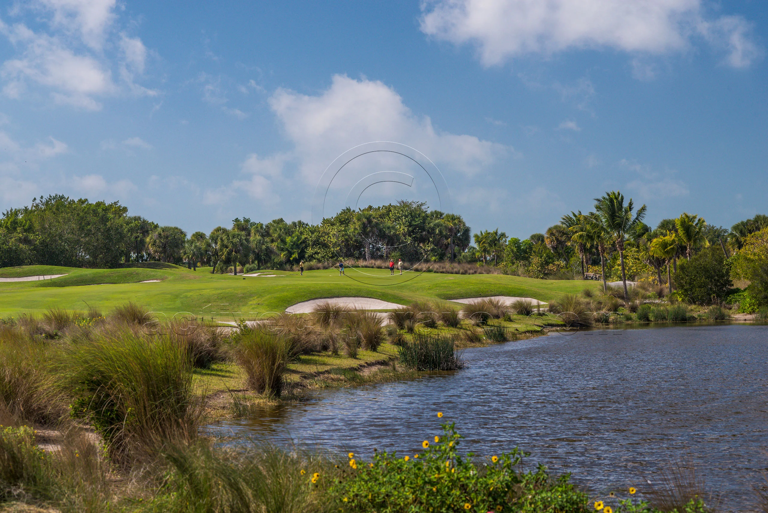 Read more about the article Golf Marco Island