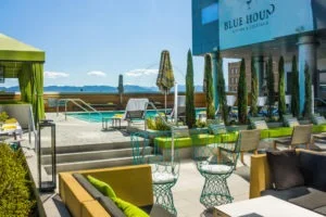 Read more about the article Phoenix – An Urban Oasis