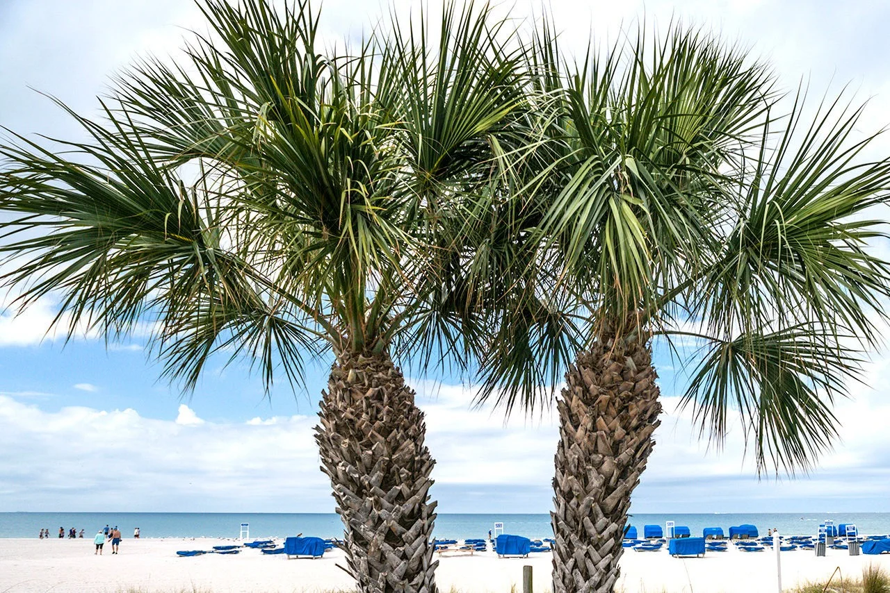 St. Pete Beach at TradeWinds