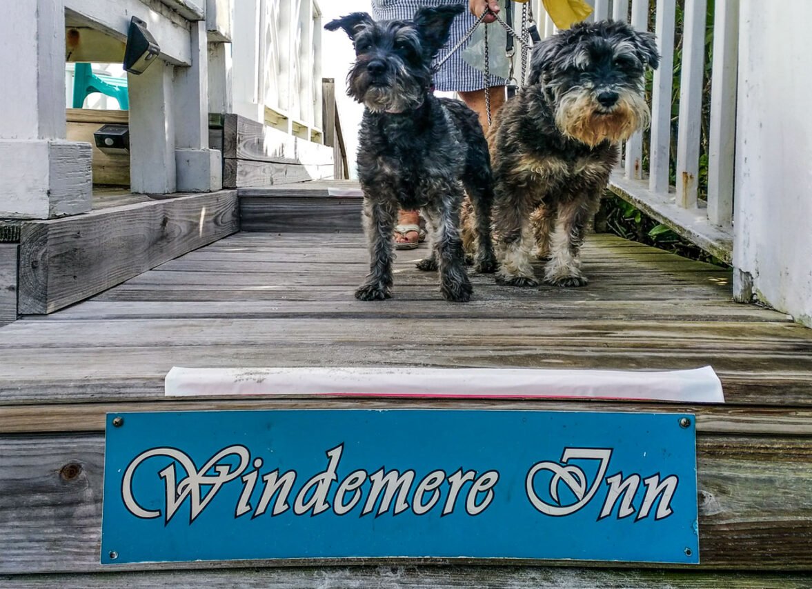 Pet-friendly Windemere Inn