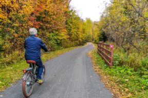 Read more about the article The Best Quebec Cycling Routes: Tips for a Memorable Trip