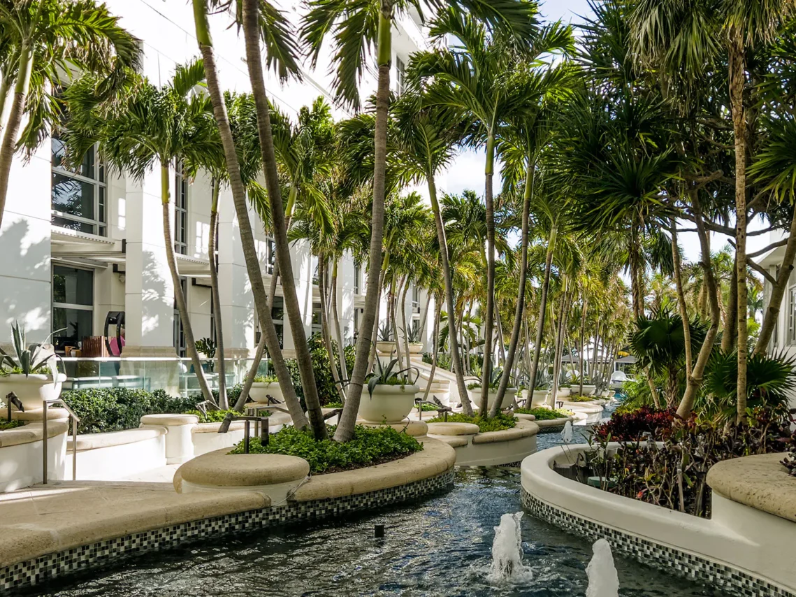Luxury Tropical Resort Walkway With Palm Trees, Water Features