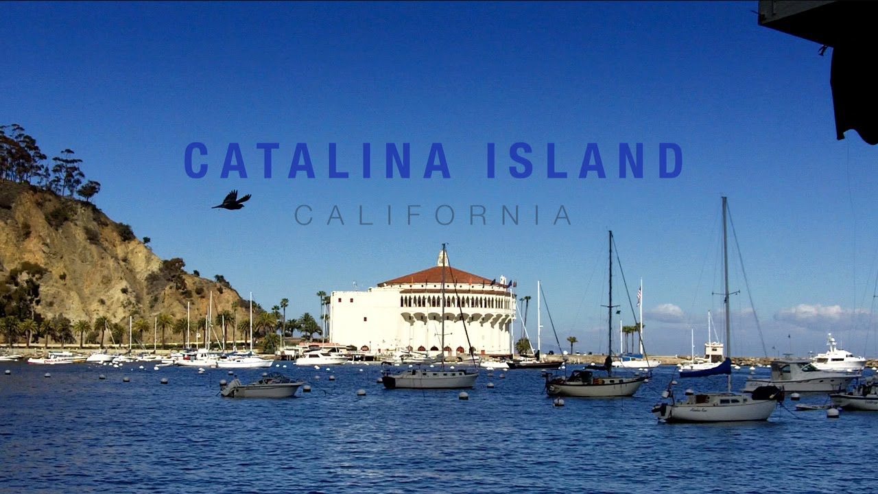 youtube placeholder image